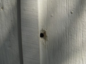 One of the bullet holes in the Innis House