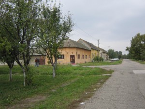 Lovcenac 2009: remnants of the tree-lined streets of Sekitsch (this is Zweiterreihe, now ЂУРА СТРУГАРА, with the house my father grew up in lying just beyond the corner house).