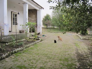 The inner courtyard where Helmut and Ewald used to play with their dachshund.