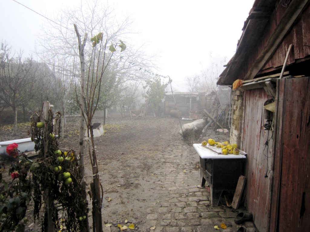 ...Radinka, are you there?  Spirits from the past linger in the corners of her former backyard.