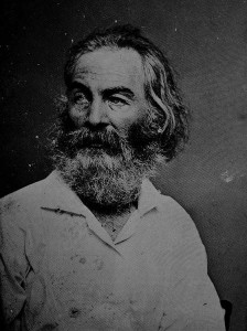The 1855 Portrait of Walt Whitman (Daguerrotype Reproduced by Lithography) by Mathew B. Brady